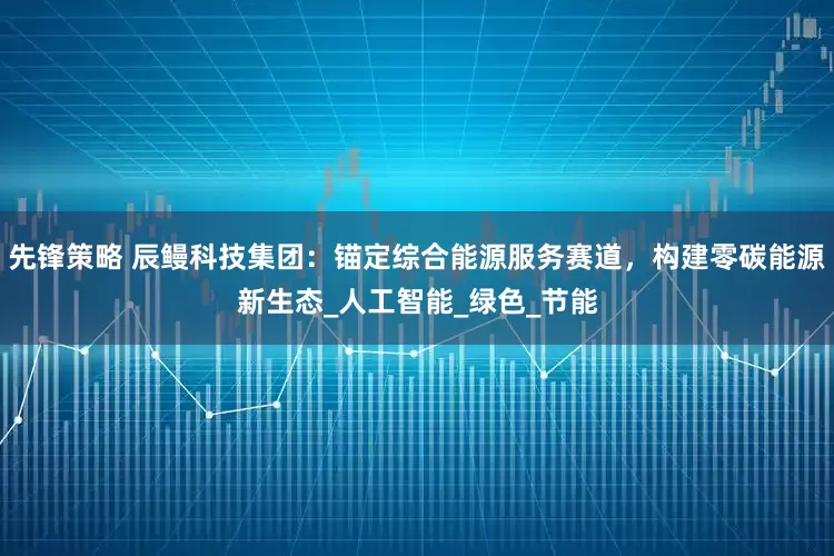 先锋策略 辰鳗科技集团：锚定综合能源服务赛道，构建零碳能源新生态_人工智能_绿色_节能